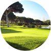 Image for Dom Pedro - Pinhal Course course